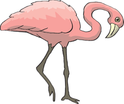 Why you should stand like a flamingo and walk like a pigeon